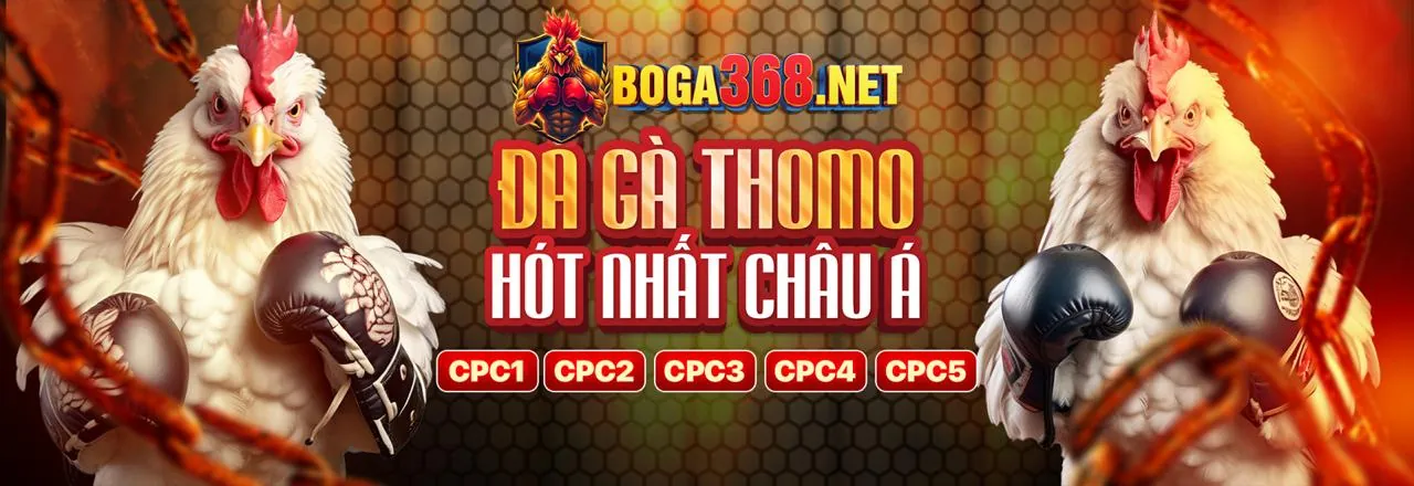 Tổng quan các trò chơi và khuyến mãi sau khi đăng ký 3king web