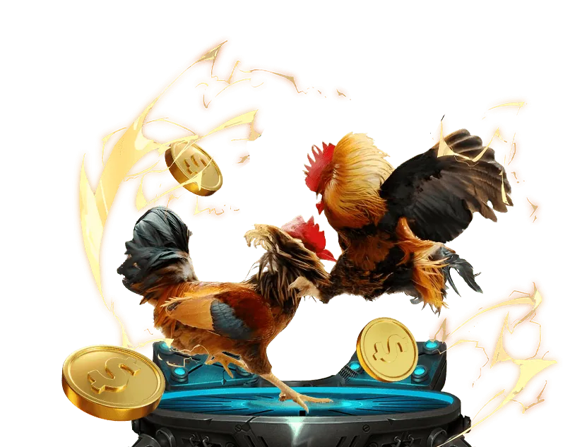 Hình ảnh cookie và công nghệ theo dõi